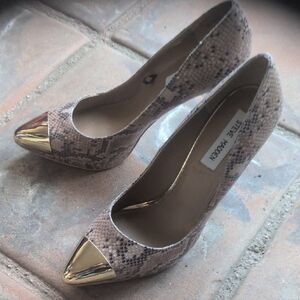 Steve Madden Snakeskin Heels with Gold Tips